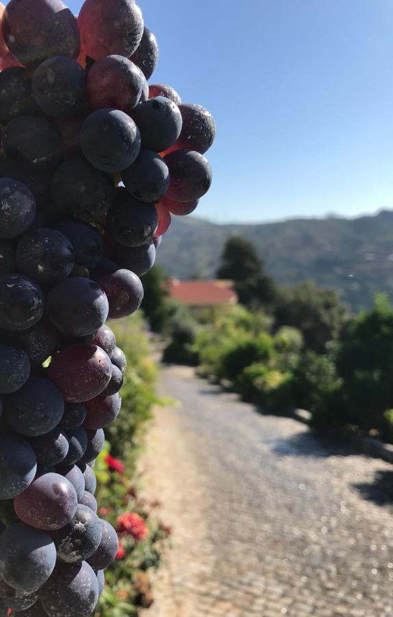 Private Douro- Quinta Das Susandas 梅骚·弗里奥 外观 照片