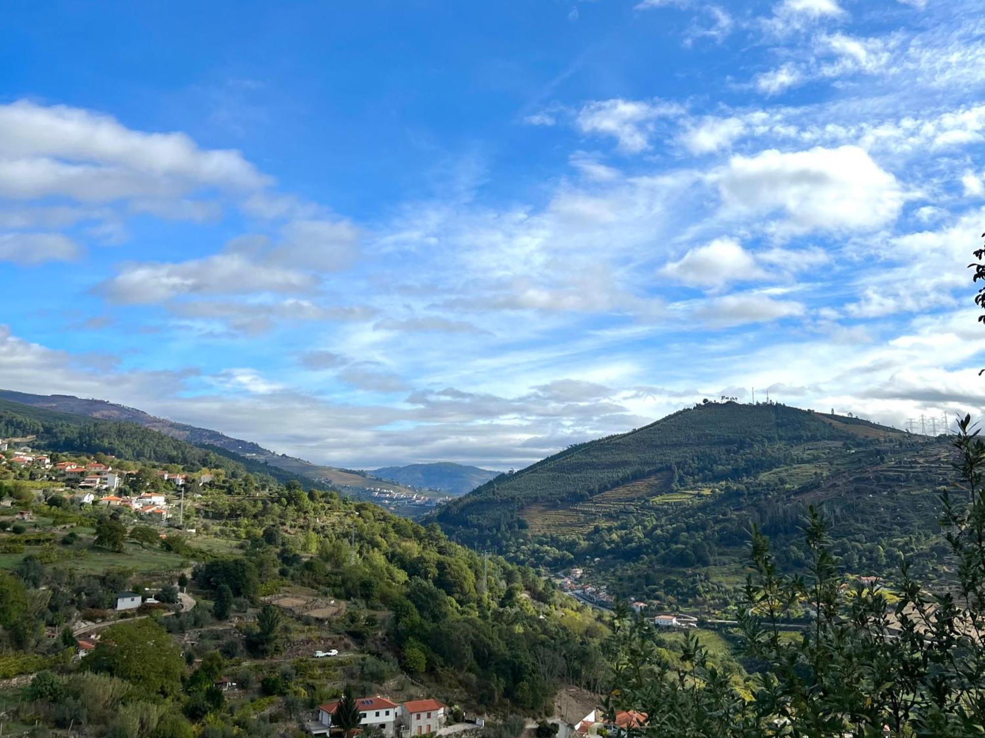 Private Douro- Quinta Das Susandas 梅骚·弗里奥 外观 照片