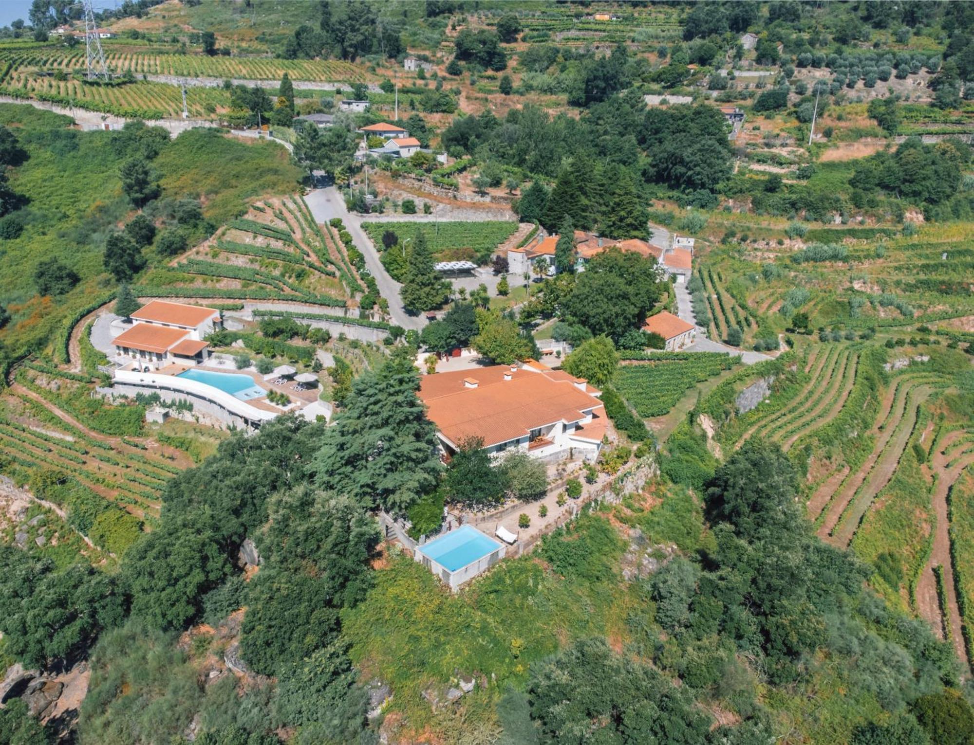 Private Douro- Quinta Das Susandas 梅骚·弗里奥 外观 照片